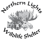 Primary Logo