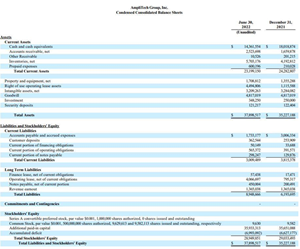 amplitech-group-reports-quarterly-results-for-q222.png