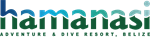 Primary Logo