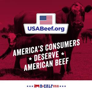 0_medium_USA-Beef.jpg