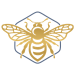 Primary Logo
